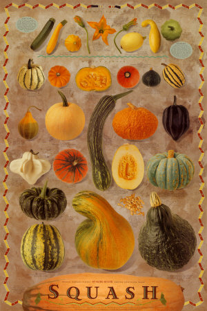 Squash by Mark Miller Pricing Limited Edition Print image
