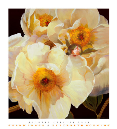 Chinese Peonies Trio by Elizabeth Horning Pricing Limited Edition Print image