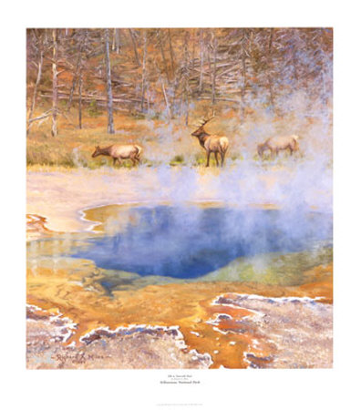 Elk At Emerald Pool by Richard Miles Pricing Limited Edition Print image