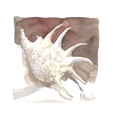 Contemporary Spider Conch by Paul Brent Pricing Limited Edition Print image
