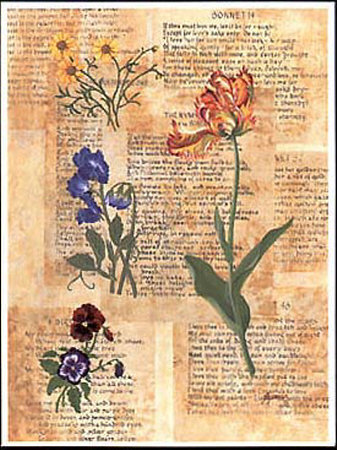 Wildflowers And Sonnets Ii by Barbara Shipman Pricing Limited Edition Print image