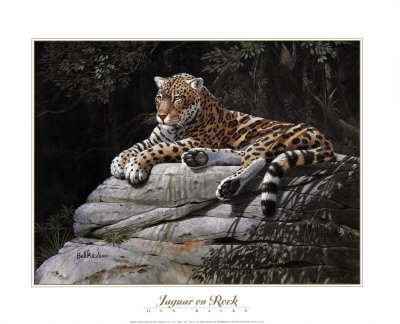 Jaguar On Rock by Don Balke Pricing Limited Edition Print image