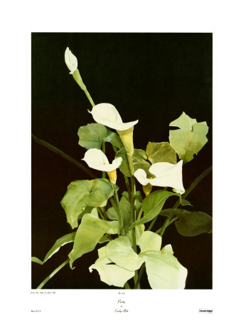 Purity by Carolyn Blish Pricing Limited Edition Print image
