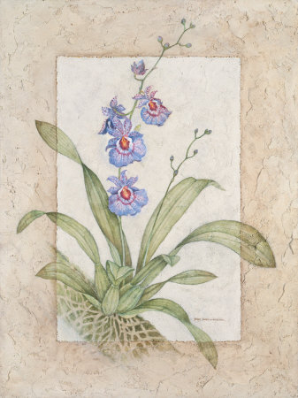 Orchid Fresco Iii by Debra Swartzendruber Pricing Limited Edition Print image