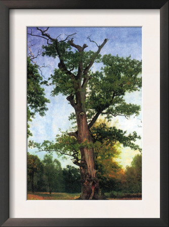 Pioneers Of The Forest by Albert Bierstadt Pricing Limited Edition Print image