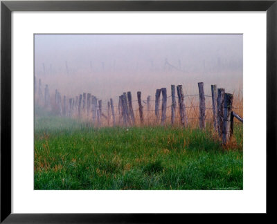 Fence Across Foggy Meadow, Cades Cove, Great Smoky Mountains National Park, Tennessee, Usa by Adam Jones Pricing Limited Edition Print image