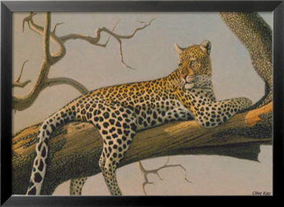 Lounging Leopard by Clive Kay Pricing Limited Edition Print image