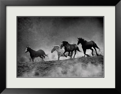 Run With The Wind by Tony Stromberg Pricing Limited Edition Print image