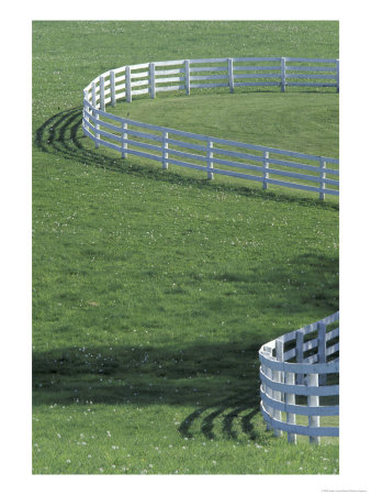 White Fence On Horse Farm, Lexington, Kentucky, Usa by Adam Jones Pricing Limited Edition Print image