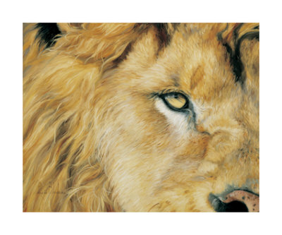 Eye Of The Lion by Lucie Bilodeau Pricing Limited Edition Print image