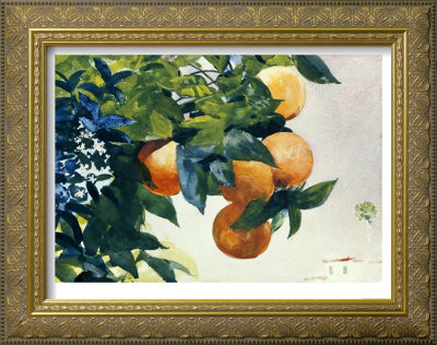 Oranges On A Branch, 1885 by Winslow Homer Pricing Limited Edition Print image