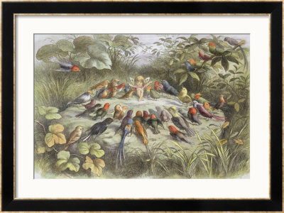 Rehearsal In Fairy Land, Illustration From In Fairyland: A Series Of Pictures From The Elf-World by Richard Doyle Pricing Limited Edition Print image