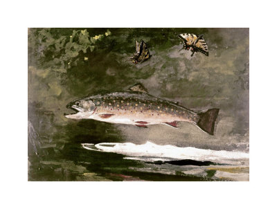 Trout by Winslow Homer Pricing Limited Edition Print image