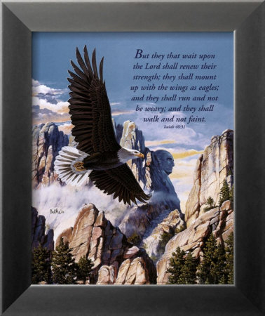 Freedom: Eagle In Flight by Don Balke Pricing Limited Edition Print image