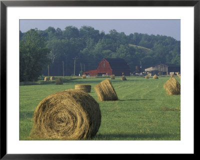 Hay Bales And Red Barn, Greenup, Kentucky, Usa by Adam Jones Pricing Limited Edition Print image