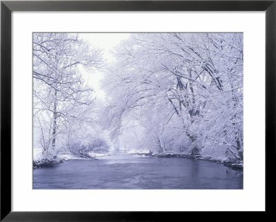 Snow Covered Branches Overhanging Beargrass Creek, Louisville, Kentucky, Usa by Adam Jones Pricing Limited Edition Print image