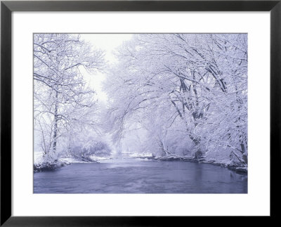Snow Covered Branches Overhanging Beargrass Creek, Louisville, Kentucky, Usa by Adam Jones Pricing Limited Edition Print image
