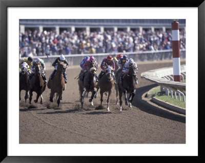 Thoroughbred Horse Racing At Keenland Track, Lexington, Kentucky, Usa by Adam Jones Pricing Limited Edition Print image