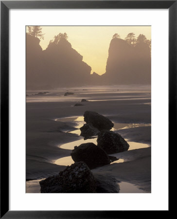 Tidepools And Seastacks, Shi Shi Beach, Olympic National Park, Washington, Usa by Adam Jones Pricing Limited Edition Print image