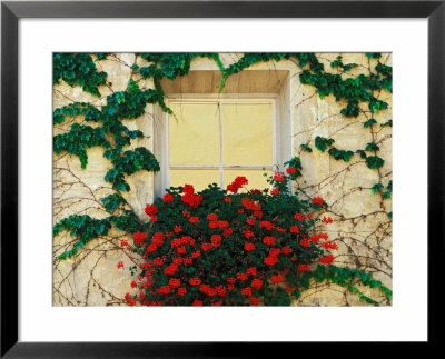 Vine And Flowers Around Window, Brixen, Italy by Adam Jones Pricing Limited Edition Print image