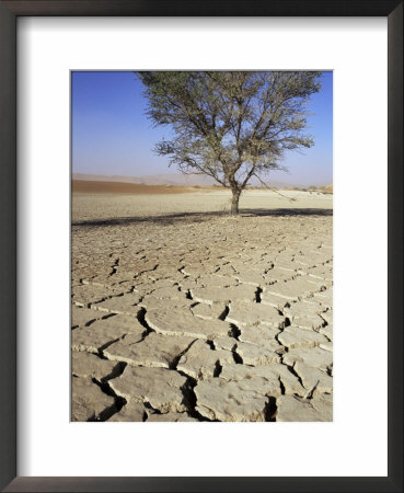 Dried And Cracked Mud In Sossusvlei Pan, Sossusvlei, Namibia, Africa by David Poole Pricing Limited Edition Print image