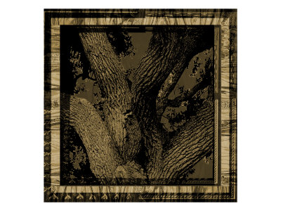 Tree Frame Ii by Miguel Paredes Pricing Limited Edition Print image