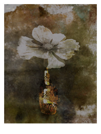 White Floral by Miguel Paredes Pricing Limited Edition Print image