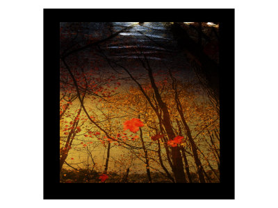 Mystic River I by Miguel Paredes Pricing Limited Edition Print image