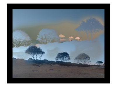 Bronzo Trees Ii by Miguel Paredes Pricing Limited Edition Print image