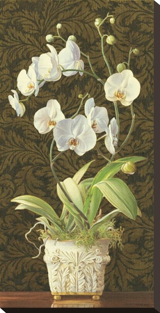 Orchid Phaleanopsis by Mary Kay Krell Pricing Limited Edition Print image
