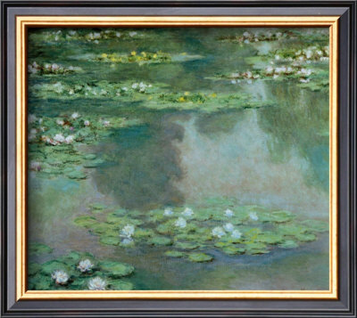 Waterlilies I 1905 by Claude Monet Pricing Limited Edition Print image