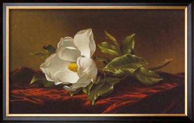 Magnolia Grandiflora by Martin Johnson Heade Pricing Limited Edition Print image