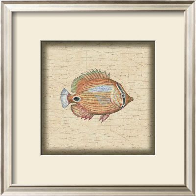 Tropical Fish I by Debra Swartzendruber Pricing Limited Edition Print image