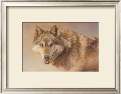 Wolf Portrait by Kalon Baughan Pricing Limited Edition Print image