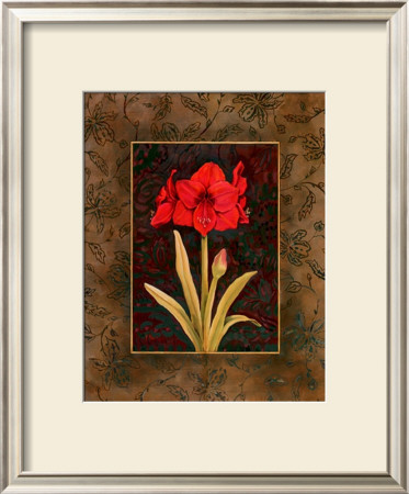 Damask Amaryllis by Paul Brent Pricing Limited Edition Print image