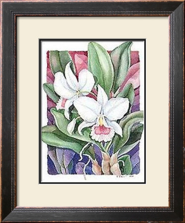 Orchids Ii-Cattleya by Paul Brent Pricing Limited Edition Print image