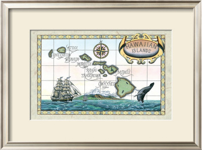 Map Of The Hawaiian Islands by Steve Strickland Pricing Limited Edition Print image