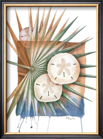Sanddollars by Paul Brent Pricing Limited Edition Print image