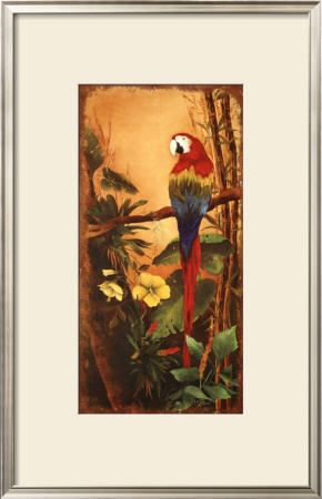 Exotic Birds Ii by Mary Beth Zeitz Pricing Limited Edition Print image