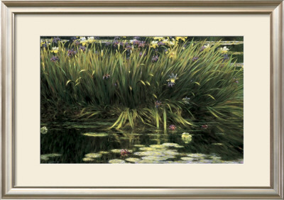 Water Garden Secret by Greg Singley Pricing Limited Edition Print image