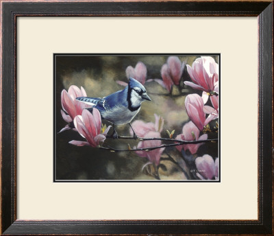 Eastern Bluejay by Terry Isaac Pricing Limited Edition Print image