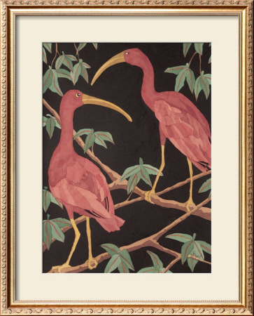 Scarlet Ibis Ii by Dan Goad Pricing Limited Edition Print image