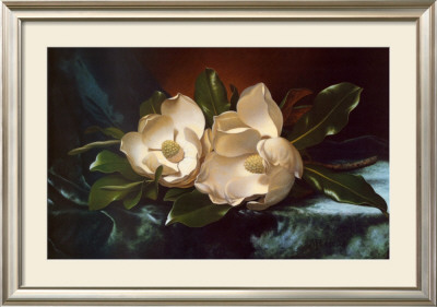 Magnolias On A Blue Velvet Cloth by Martin Johnson Heade Pricing Limited Edition Print image