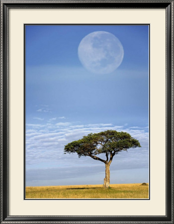 Full Moon, Masai Mara, Kenya by Adam Jones Pricing Limited Edition Print image