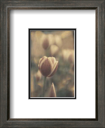 Tinted Tulips Ii by Thea Schrack Pricing Limited Edition Print image
