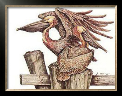 Pelican Poster by Paul Brent Pricing Limited Edition Print image