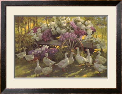 Afternoon Congregation by Don Ricks Pricing Limited Edition Print image