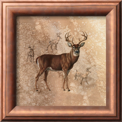 Deer Study by Judy Gibson Pricing Limited Edition Print image