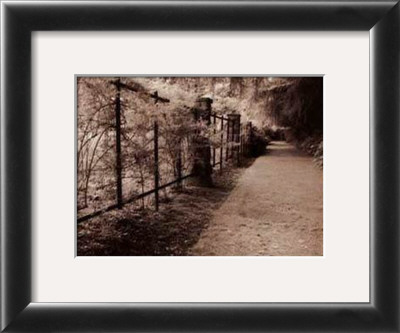 Woodland Park Garden by Steve Leal Pricing Limited Edition Print image