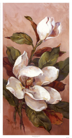 Magnolia Accents Ii by Barbara Mock Pricing Limited Edition Print image